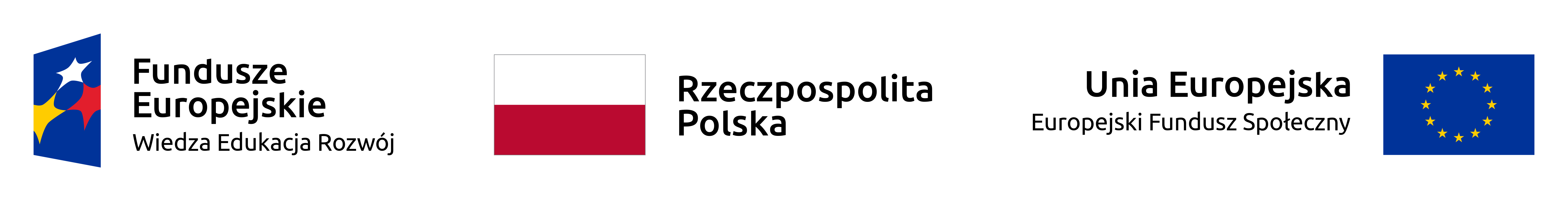 Ikona logo Dostępny Powiat Łęczycki